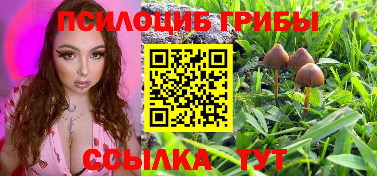 даркнет сайт  Галлюциногенные грибы Psilocybine cubensis  Галлюциногенные грибы Psilocybine cubensis  Вход с VPN  Малоярославец 