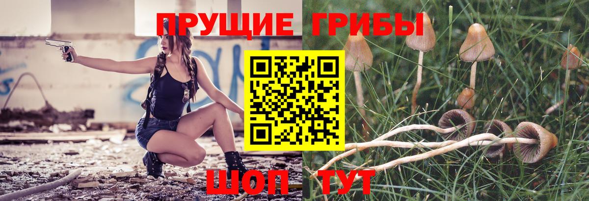 Псилоцибиновые грибы мицелий Малоярославец